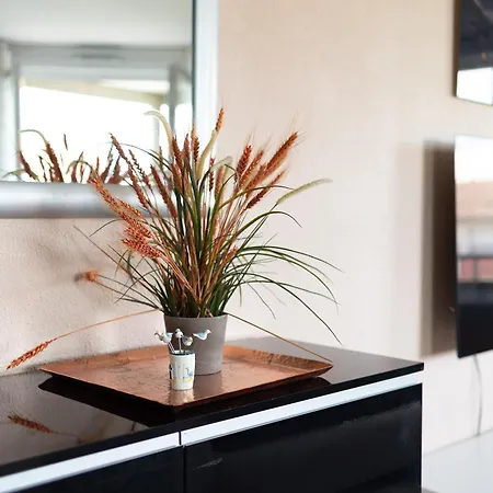 T3 - 2 Places De Parking - Balcon - Climatisation تولوز